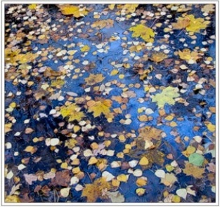 Окунаюсь в болдинскую осень...