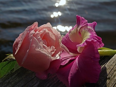 Дрожала кожа