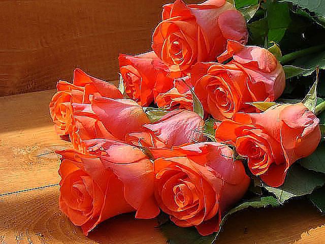 Возьмём немного слов