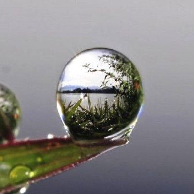 Любви мгновения прекрасны