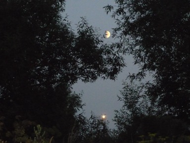 Соловьиные ночи