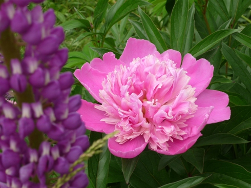 Направо посмотришь - тучи