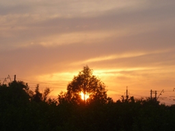 Дождаться вечерней прохлады