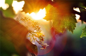 Всё вперёд и вперёд