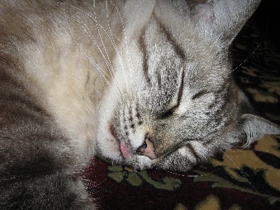 Объявление