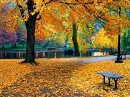 Из года в год