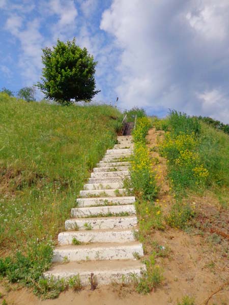 В пасмурный день