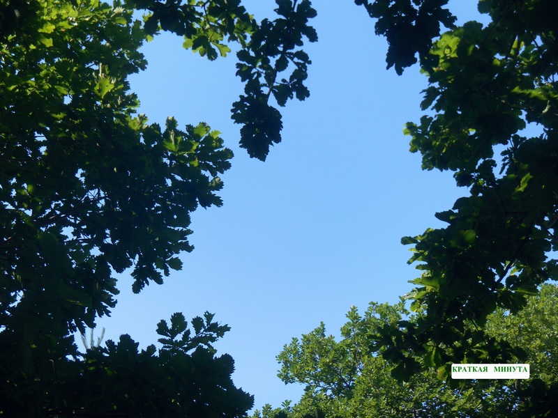 Краткая минута