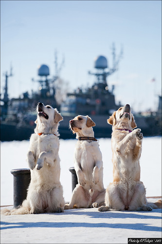Примите во Флот ваш Военно Морской!