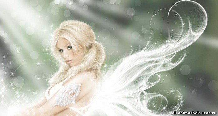 Розовый сад