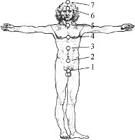 Четвертый такт в вальсе