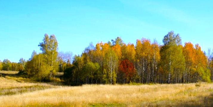 Правила и Регламент Осеннего-7 Кубка 2013 года