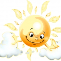 Дарственная суть