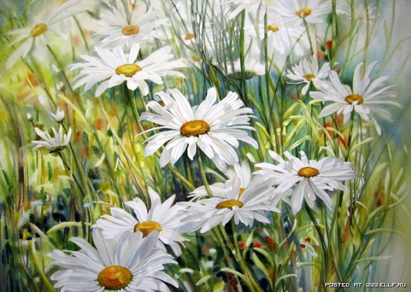 Ангел мой падший...