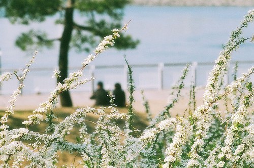 Expectans miraculo В ожидании чуда