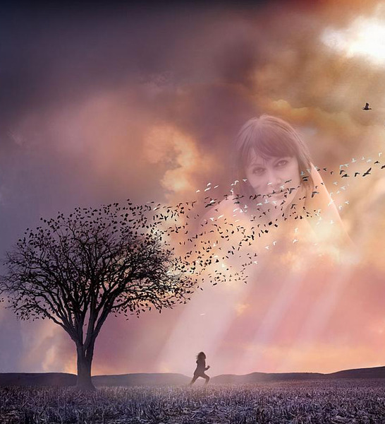 Так ныне платят за приют у очага 31. 07. 13г