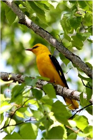 Начало начал