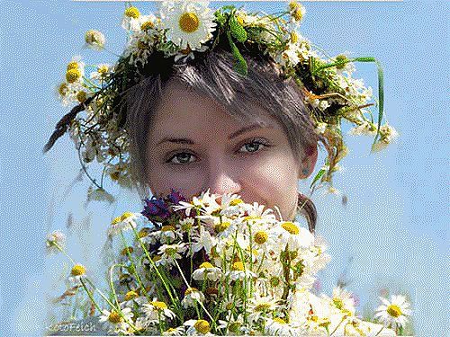 Не гадай о любви на ромашке