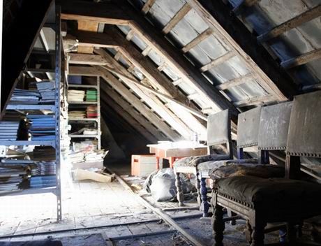 Чудак с чердака