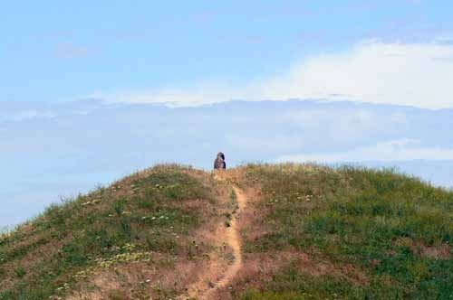 лето, подожди! я допишу