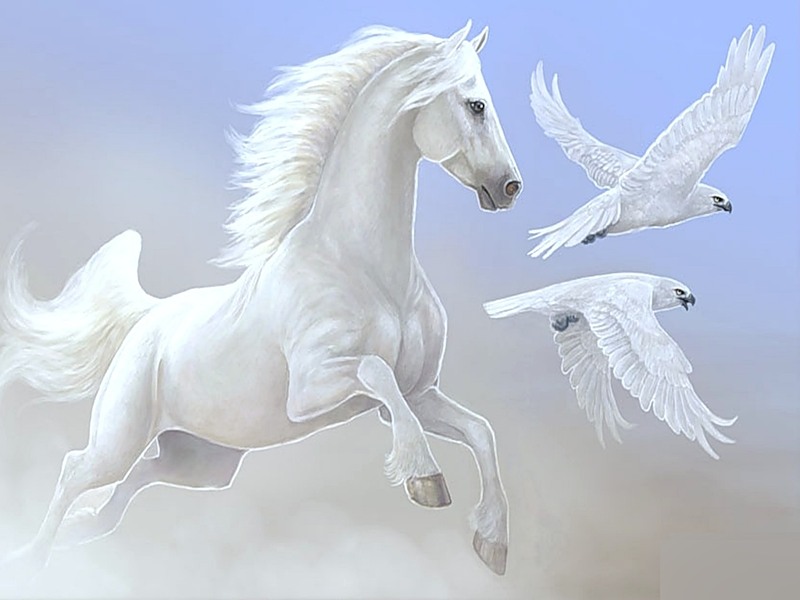 Орланы и бакланы да конь в колее