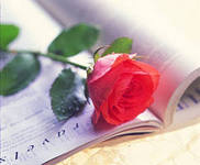 Я просто больше не вернусь