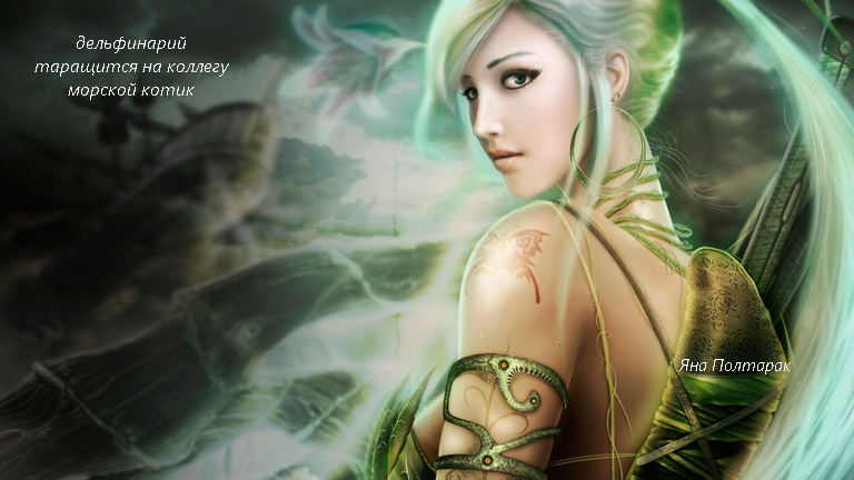 дельфинарий - КХ глубокая синева