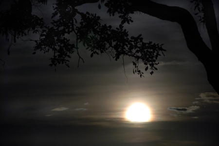 Тихий вечер