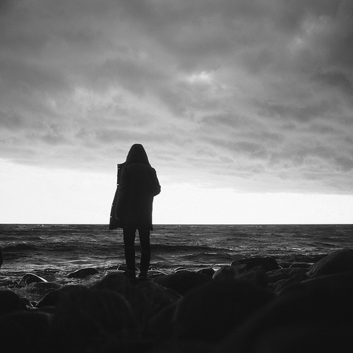 Падальная жизнь