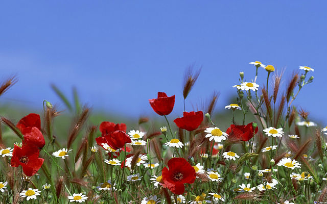 Написать бы такую песню