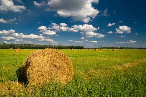 Лето в деревне. 21. 06. 2013