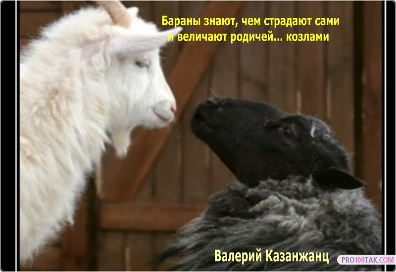 За Козла Ответишь