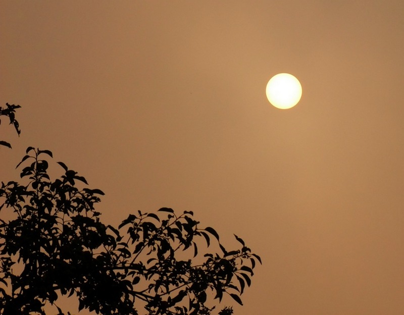 Прощанье с летом в конце августа