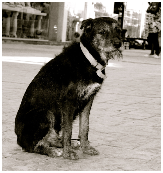 Не поётся мне...