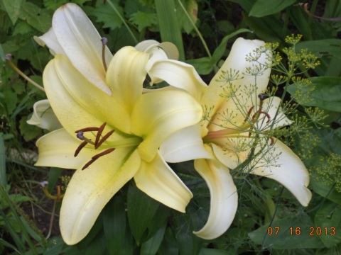 Меня тут хаЮТ. Люди ф халаТАХ