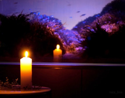 Благодарю за Обучение...