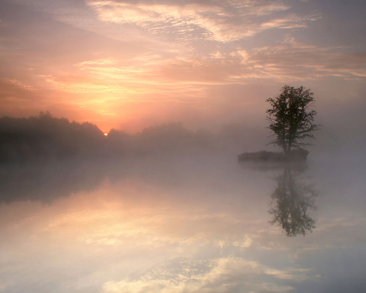 Воздух наполненный тишиной. Туман. Туманный пейзаж. Пейзаж в дымке. Туманное утро на озере.