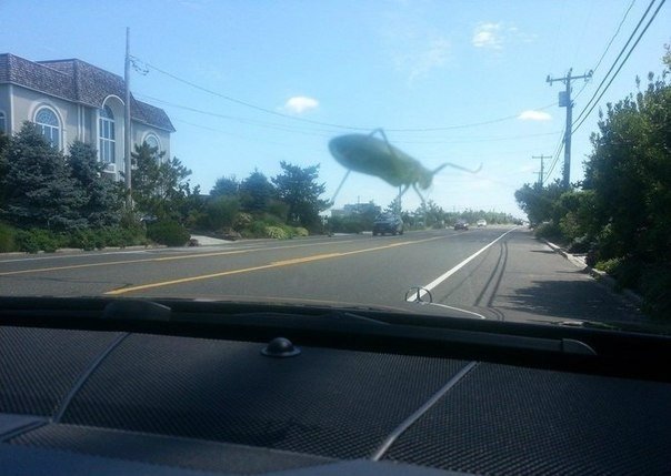 Попался на глаза мне снимок этот...