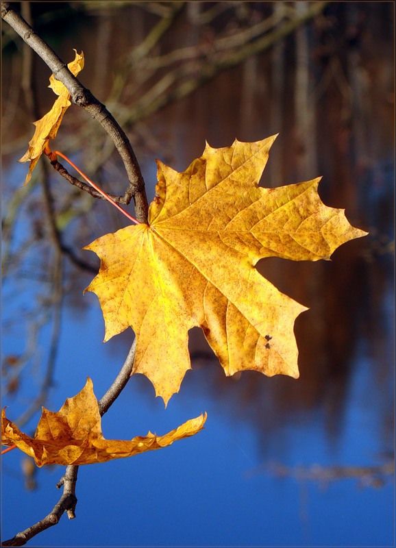 Осенний романс