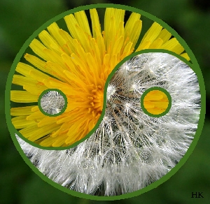 пишуться разом