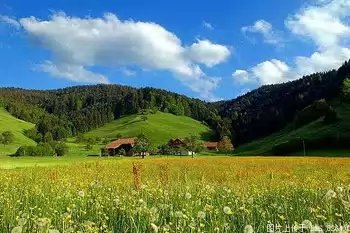 Август лучший месяц года
