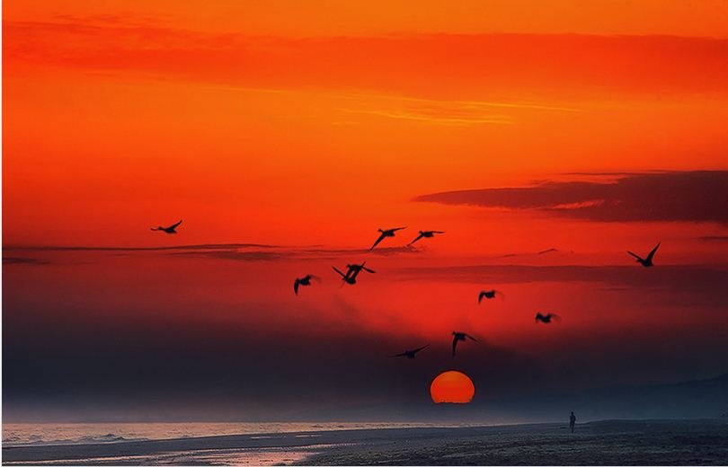 По следу базиса