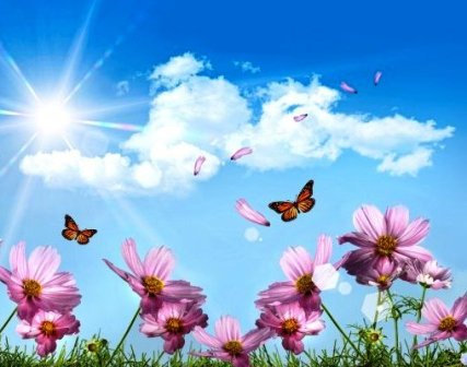 Неуловимость призрачных мечтаний...