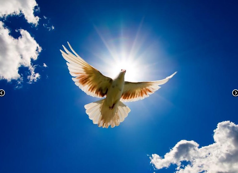 Август в Небесном Океане