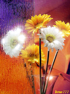 Вальс хризантем