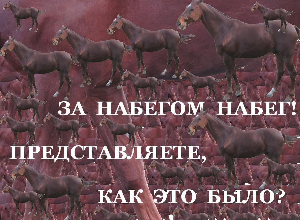 За набегом набег! Представляете, как это было?