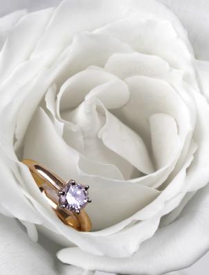 Золото и ракушки. Золото