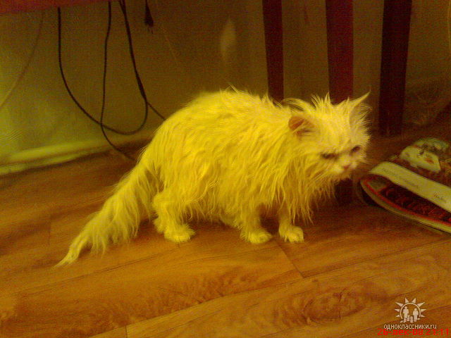 Масянина стирка - часть 2