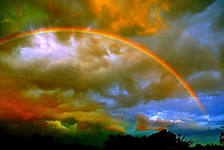 Всполохи красок