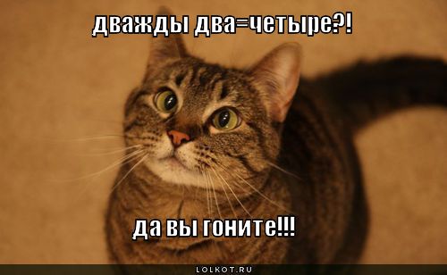 Трудолюбивый дятел шутка